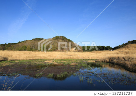 兵庫県神河町 砥峰高原の風景 兵庫県神河町 砥峰高原の風景 127211727