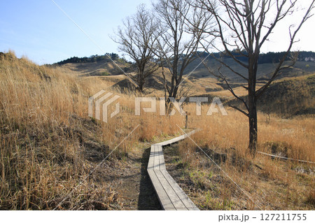 兵庫県神河町 砥峰高原の風景 兵庫県神河町 砥峰高原の風景 127211755