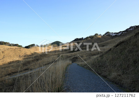 兵庫県神河町　砥峰高原の風景 127211762