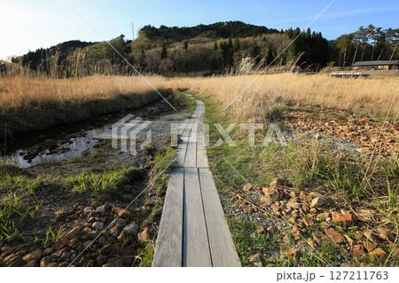 兵庫県神河町　砥峰高原の風景 127211763