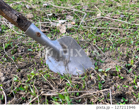 Small planting spatula 127211946