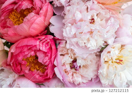 Fresh bunch of pink peonies 127212115