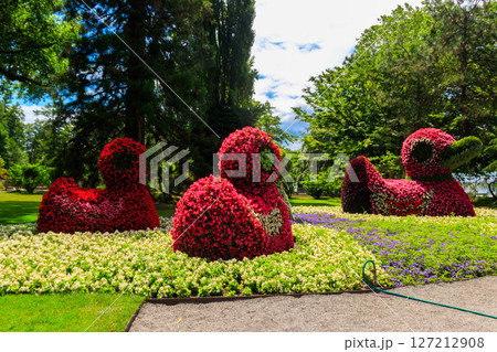 Ducks made of flowers on the island of flowers Mainau on Lake Constance, Germany 127212908