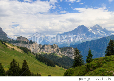 Panoramic view of snow-covered Swiss Alps and green flowering alpine meadow near Schynige Platte in Bernese Oberland, Switzerland 127212919