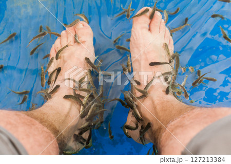 Feet submerged in clear water surrounded by small fish 127213384
