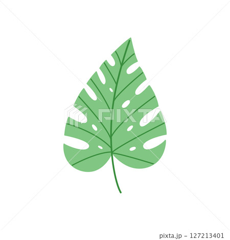 Monstera Leaf Vector Illustration Tropical Green Botanical Design Monstera Leaf Vector Illustration Tropical Green Botanical Design 127213401
