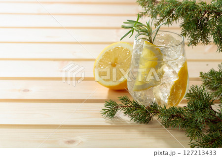 Gin and tonic cocktail with crushed ice and lemon slices. Gin and tonic cocktail with crushed ice and lemon slices. 127213433