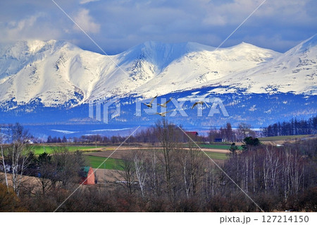 北海道美瑛町 水沢ダムと十勝岳連峰の絶景 127214150
