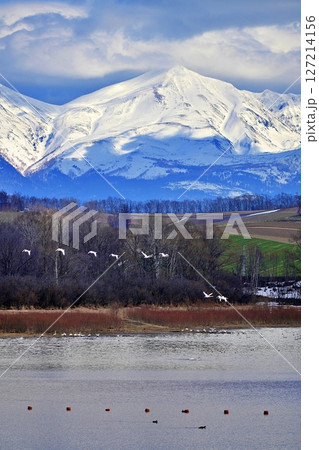 北海道美瑛町 水沢ダムと十勝岳連峰の絶景 127214156