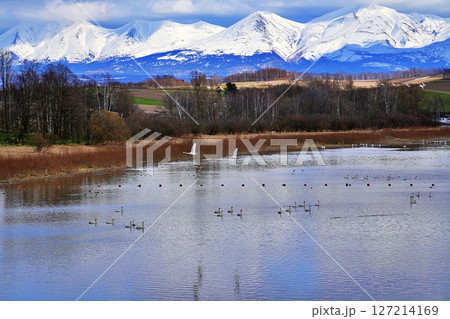 北海道美瑛町 水沢ダムと十勝岳連峰の絶景 127214169