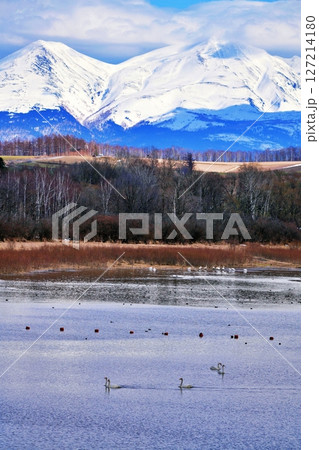 北海道美瑛町 水沢ダムと十勝岳連峰の絶景 127214180