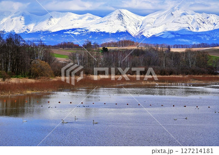 北海道美瑛町 水沢ダムと十勝岳連峰の絶景 127214181