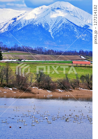 北海道美瑛町 水沢ダムと十勝岳連峰の絶景 127214182