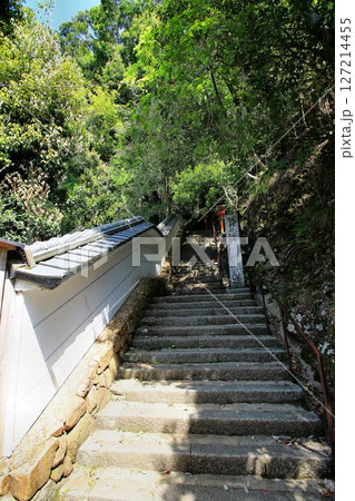 宇宙エネルギーが降注ぎ京の都の鬼門を護る… 鞍馬寺『奥の院参道』 宇宙エネルギーが降注ぎ京の都の鬼門を護る… 鞍馬寺『奥の院参道』 127214455