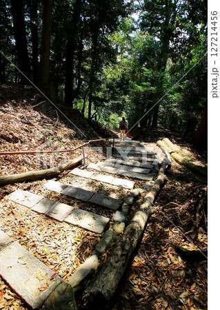宇宙エネルギーが降注ぎ京の都の鬼門を護る… 鞍馬寺『奥の院参道』 127214456