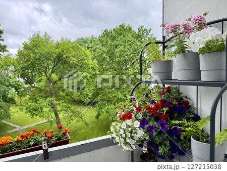 beautiful flower pots beautiful flower pots 127215038