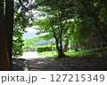 緑に囲まれた散歩道 127215349