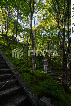 常寂光寺の境内の風景 127215607