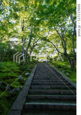 常寂光寺の境内の風景 常寂光寺の境内の風景 127215608