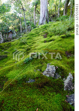 常寂光寺の境内の風景 127215611
