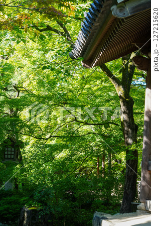常寂光寺の境内の風景 常寂光寺の境内の風景 127215620