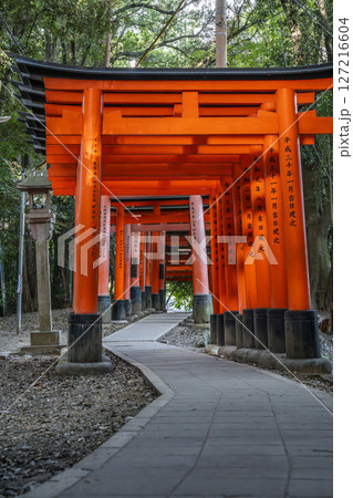 京都　伏見稲荷大社　千本鳥居　三ツ辻周辺 127216604