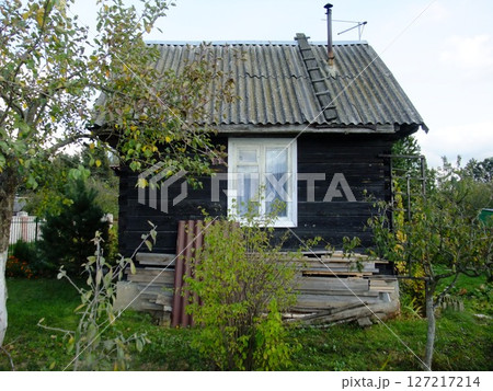 A charming black wooden house stands amidst lush greenery, showcasing a quaint rural lifestyle. The peaceful environment emphasizes simplicity and harmony with nature. A charming black wooden house stands amidst lush greenery, showcasing a quaint rural lifestyle. The peaceful environment emphasizes simplicity and harmony with nature. 127217214