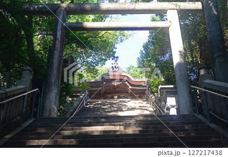 香川県金刀比羅宮本殿まで最後の石段-2 香川県金刀比羅宮本殿まで最後の石段-2 127217438