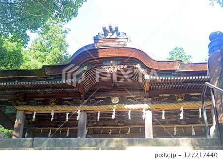 香川県金刀比羅宮本殿まで最後の石段-4 127217440