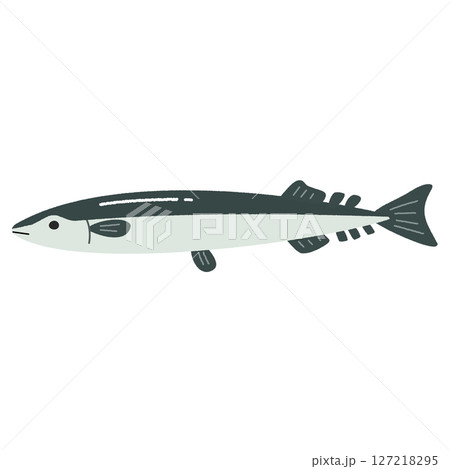 手描きのさんまのイラスト 127218295