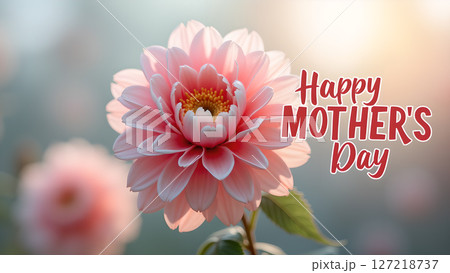 Elegant mother's day greeting with soft pink dahlia flower and gentle background 127218737