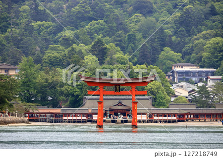 厳島神社の大鳥居(広島県 廿日市市) 厳島神社の大鳥居(広島県 廿日市市) 127218749