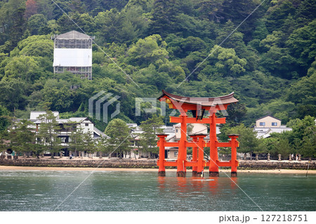 厳島神社の大鳥居（広島県 廿日市市） 127218751