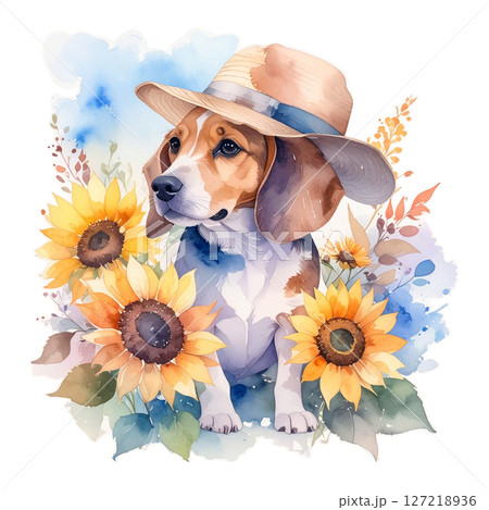 向日葵と麦わら帽子のビーグルの水彩画イラスト4／チラシやポスター用素材 127218936