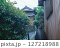雨上がりの路地裏で壺に座る黒猫と和の町並み 127218988