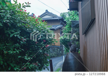 雨上がりの路地裏で壺に座る黒猫と和の町並み 127218988