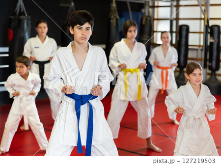 group of children in a karate class 127219503