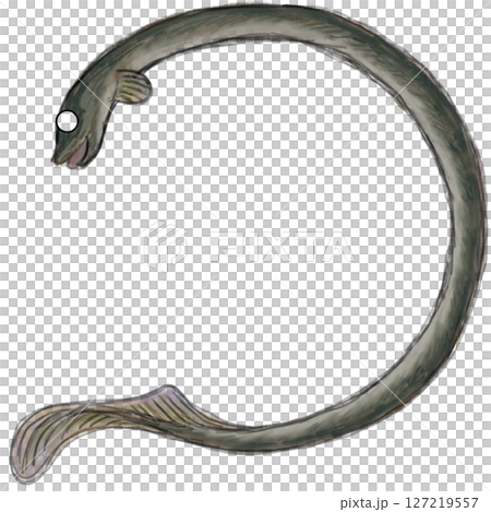 うなぎ うなぎ 127219557