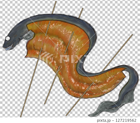 蒲焼き 蒲焼き 127219562