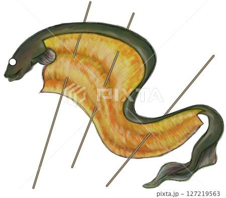 蒲焼き 蒲焼き 127219563