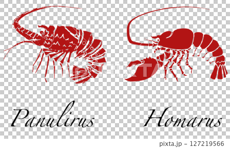 刺龍蝦和龍蝦 刺龍蝦和龍蝦 127219566