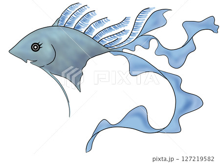 熱帯魚 熱帯魚 127219582