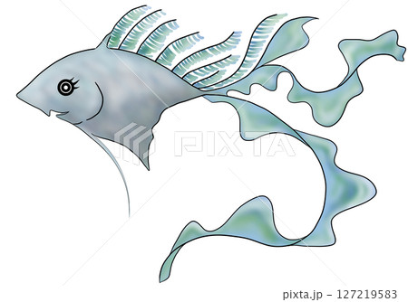 熱帯魚 熱帯魚 127219583