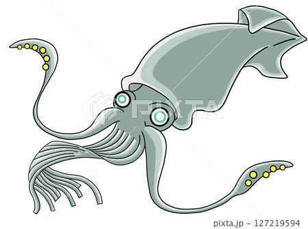 イカ イカ 127219594