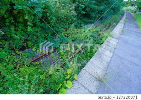 手ノ子駅のホームから見る雑草だらけの線路 127220071