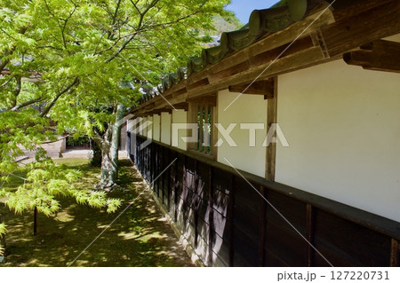 昔の典型的な日本庭園の一隅の風景 昔の典型的な日本庭園の一隅の風景 127220731