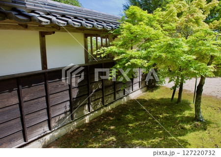 昔の典型的な日本庭園の一隅の風景 127220732