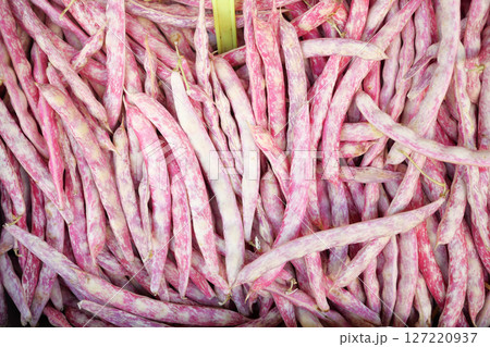 These arranged purplestriped green beans are visually stunning and tasty These arranged purplestriped green beans are visually stunning and tasty 127220937