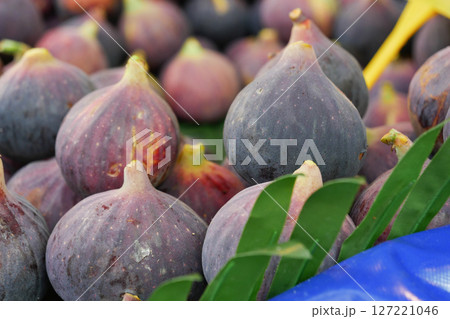 Fresh, succulent figs beautifully displayed alongside vibrant green leaves for decoration Fresh, succulent figs beautifully displayed alongside vibrant green leaves for decoration 127221046