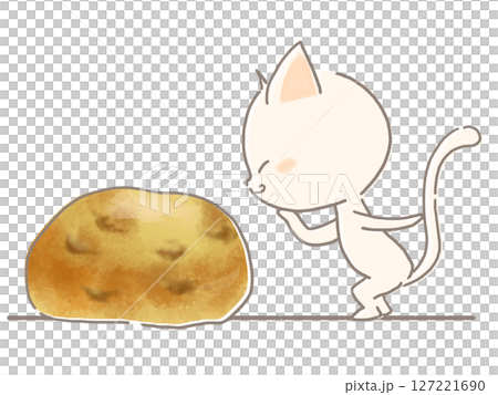 くるみパンを見る白猫のイラスト 127221690